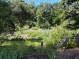50 Ramon Drive - Photo 14