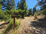 40741 Garcia River Road - Photo 21