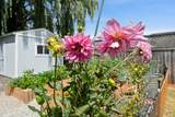 7187 Circle Drive - Photo 21