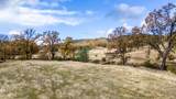 11158 Rocky Creek Road - Photo 12