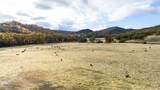 11158 Rocky Creek Road - Photo 20