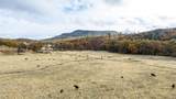 11158 Rocky Creek Road - Photo 5