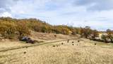 11158 Rocky Creek Road - Photo 6