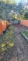 7321 Bodega Avenue - Photo 34