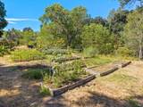 6733 Live Oak Drive - Photo 35