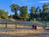 6733 Live Oak Drive - Photo 50