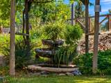 6733 Live Oak Drive - Photo 8