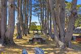 18725 Highway 1 - Photo 31