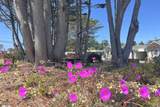 18725 Highway 1 - Photo 38