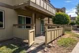 401 Pine Street - Photo 9