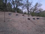 20655 Pigeon Ridge Road - Photo 10