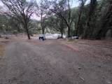 20655 Pigeon Ridge Road - Photo 3