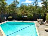 221 El Faisan Drive - Photo 5