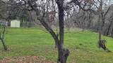 506 White Cottage Road - Photo 37