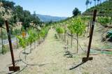 1 Franz Valley School Road - Photo 10