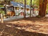 14565 Canyon 1 Road - Photo 3