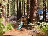 14565 Canyon 1 Road - Photo 8