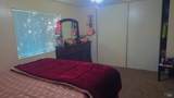 1597 Alamo Drive - Photo 16