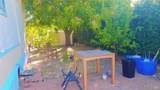 1597 Alamo Drive - Photo 23