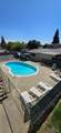 1567 Alamo Drive - Photo 5