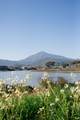 938 Via Casitas - Photo 47