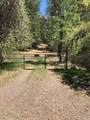 6736 Harrington Flat Road - Photo 1