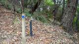 505 Mcnair Road - Photo 49