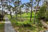 1208 Pierce Point Road - Photo 30