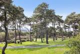 1208 Pierce Point Road - Photo 39