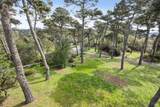 1208 Pierce Point Road - Photo 40