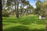 1208 Pierce Point Road - Photo 80