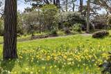1208 Pierce Point Road - Photo 81