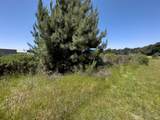 42320 Forecastle Street - Photo 13