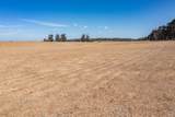 8279 Brand Lane - Photo 16