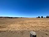 8279 Brand Lane - Photo 19