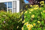 2005 Adrian Street - Photo 36