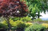 1531 Estee Avenue - Photo 43
