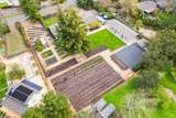 1111 Olive Hill Lane - Photo 92