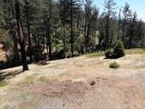 3829 Moss Hollow Court - Photo 11