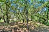 4765 Guerneville Road - Photo 45