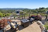 12 Nunes Drive - Photo 77