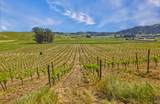 2590 Chileno Valley Road - Photo 42