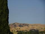 104 Goya Drive - Photo 41