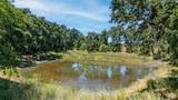 270 Soda Bay Road - Photo 6