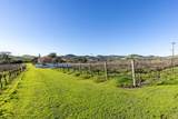 1289 Duhig Road - Photo 61