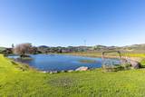1289 Duhig Road - Photo 62
