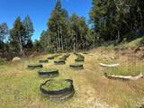 0 Little Dan Creek Road - Photo 10