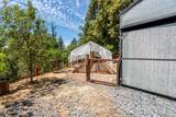 65001 Drive Thru Tree Road - Photo 12