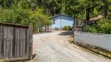 65001 Drive Thru Tree Road - Photo 3
