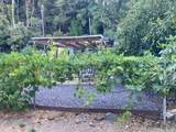 65001 Drive Thru Tree Road - Photo 30
